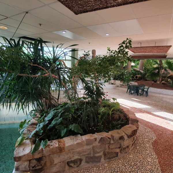 center-parcs-elisa center-parcs-elisa