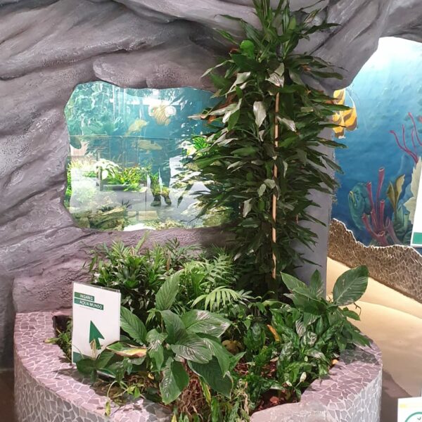 center-parcs-zwembad-elisa center-parcs-zwembad-elisa