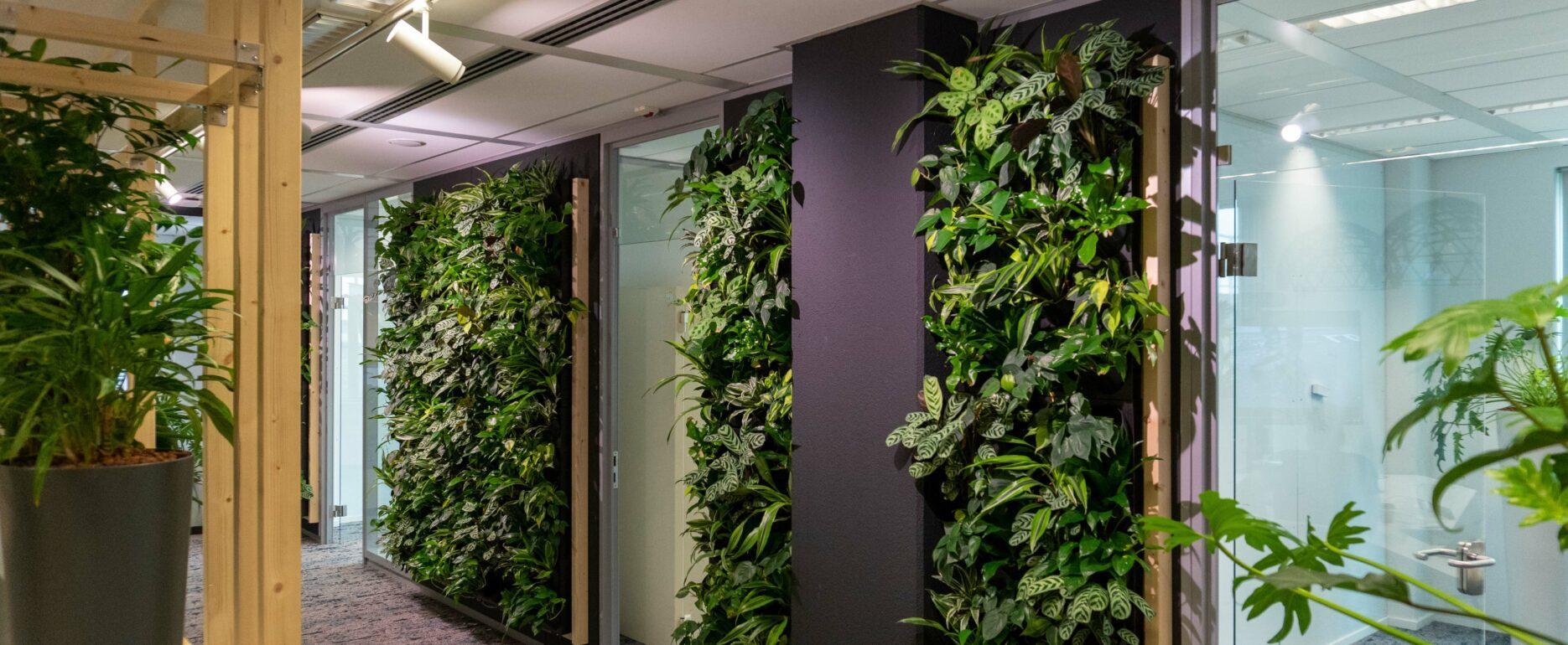 Nationale Nederlanden groene wanden