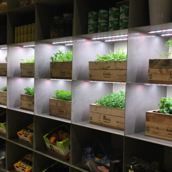 Kruidenmuur-hrbs (1) Kruidenmuur-hrbs (1)