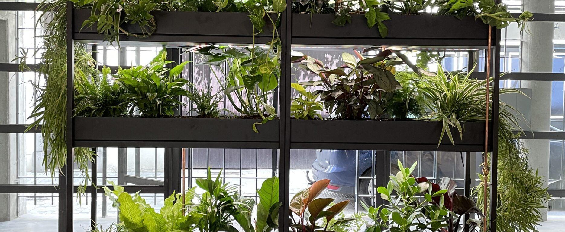 Plantenkast hrbs SAN